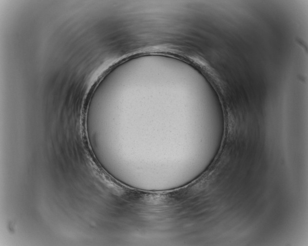 X0000100981278200807081235