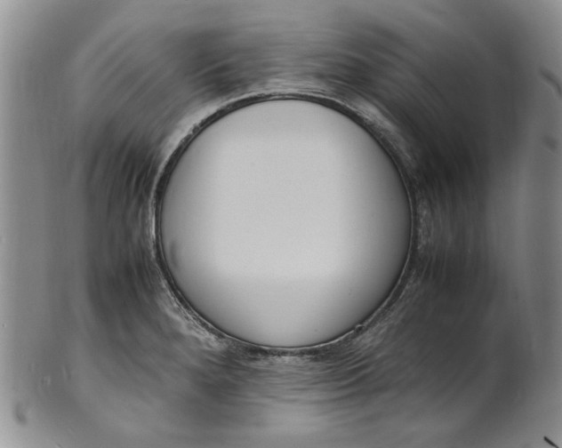 X0000100981280200807081235