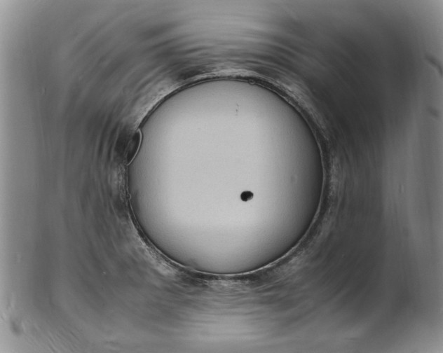 X0000100981281200807081235