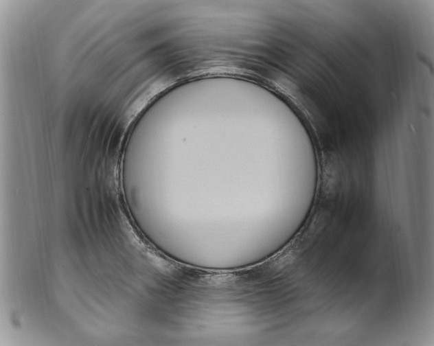 X0000100981282200807081235