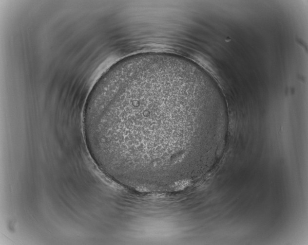 X0000100981283200807081235