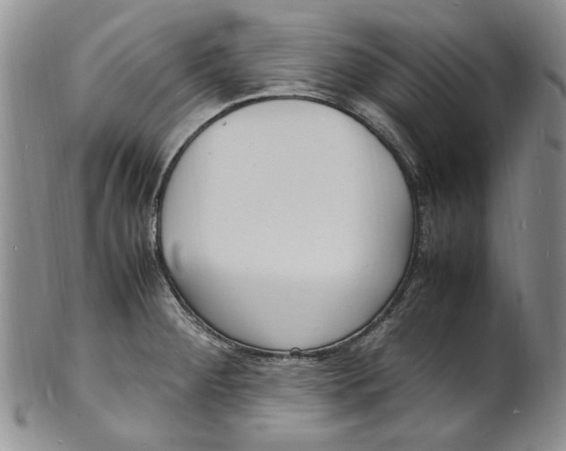 X0000100981284200807081235