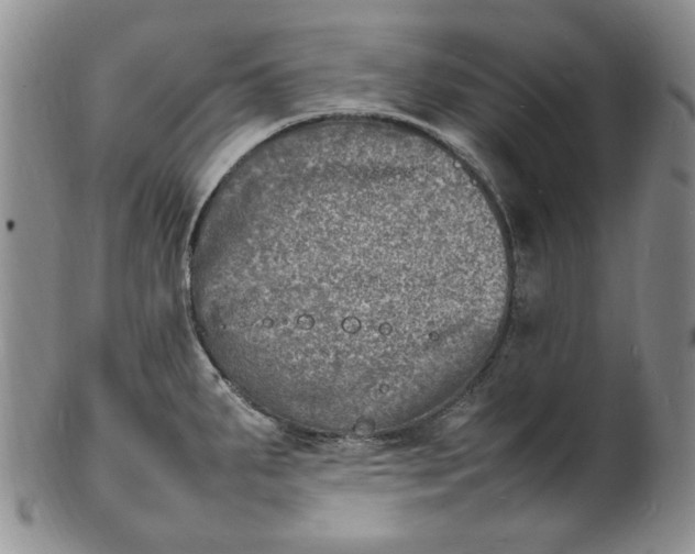 X0000100981287200807081234