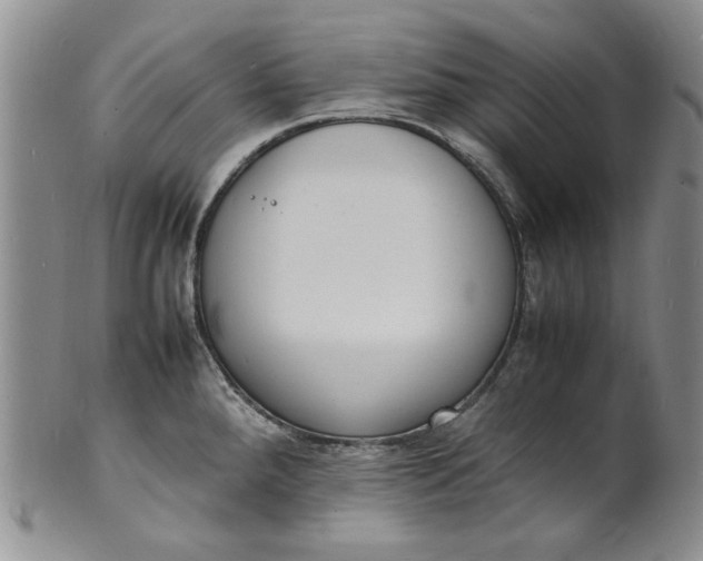 X0000100981288200807081234