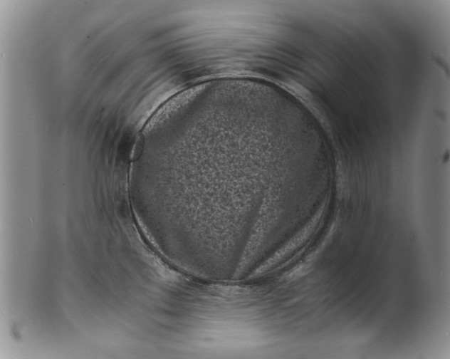 X0000100981289200807081234