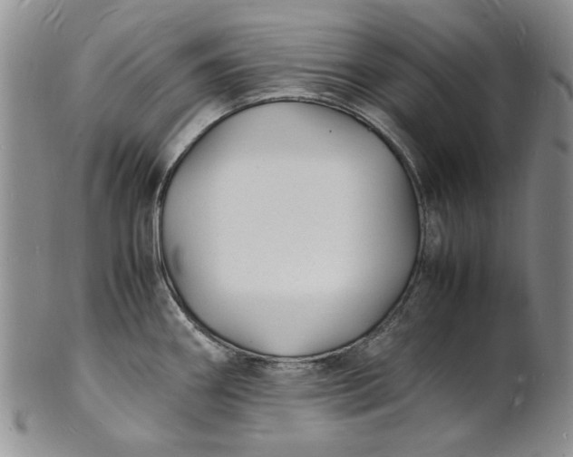 X0000100981290200807081234