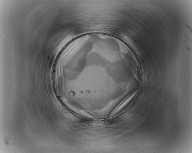 X0000100981291200807081234