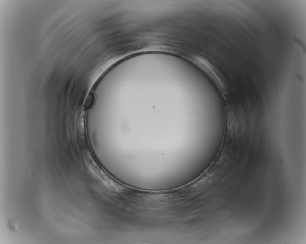 X0000100981292200807081234