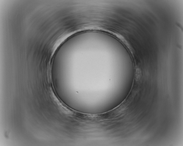 X0000100981295200807081234