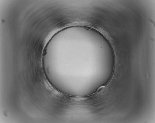 X0000100981296200807081234