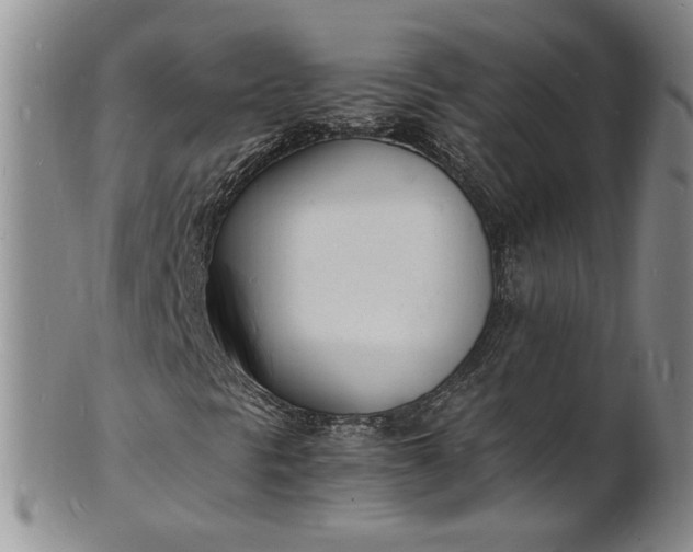 X0000100981297200807081234