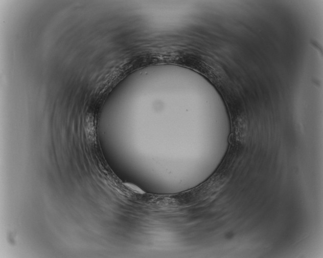 X0000100981298200807081234