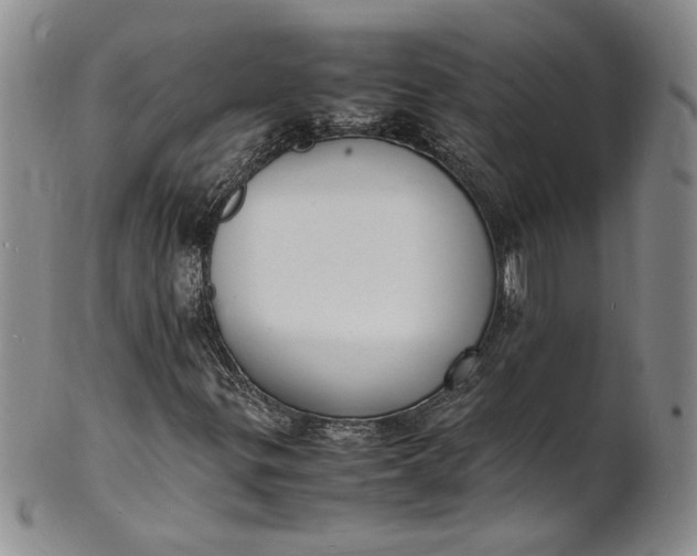 X0000100981299200807081234