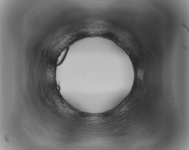 X0000100981300200807081234