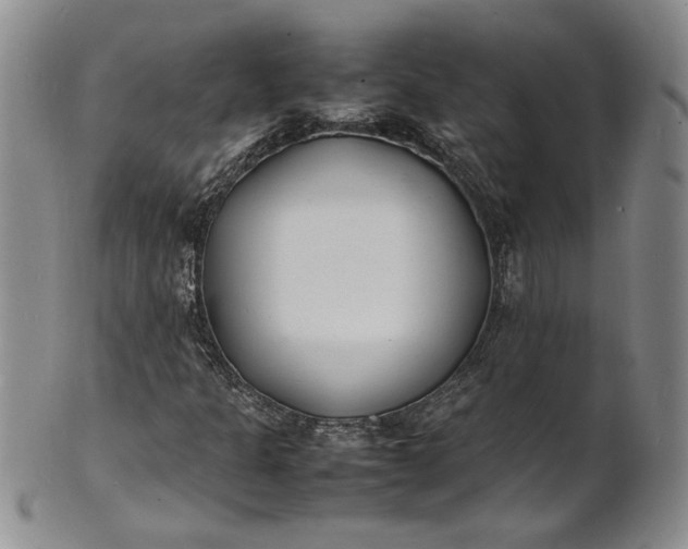 X0000100981301200807081234