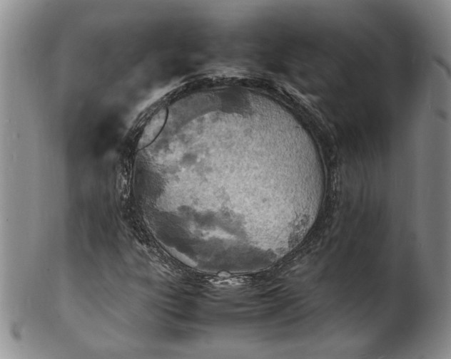 X0000100981303200807081234