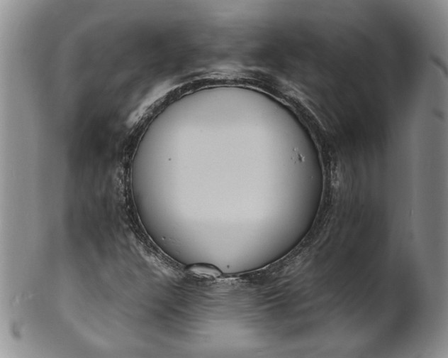 X0000100981304200807081234