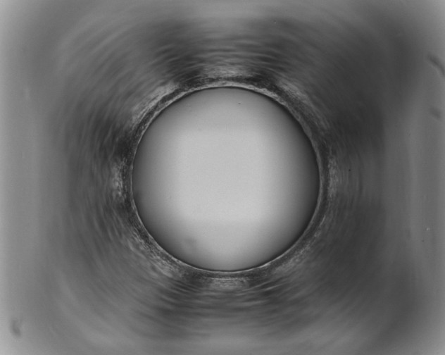 X0000100981305200807081234