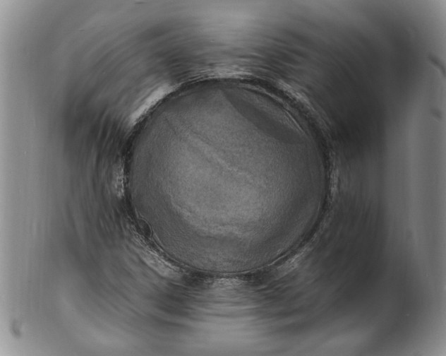 X0000100981306200807081234