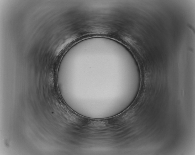 X0000100981307200807081234