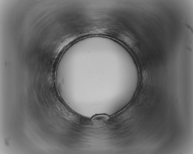 X0000100981308200807081234