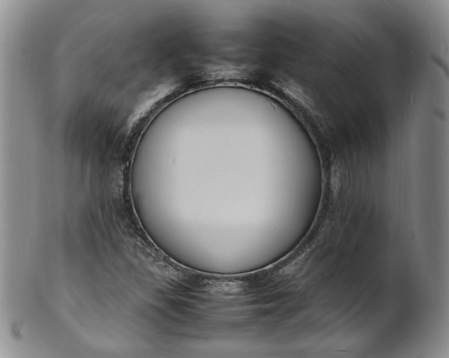 X0000100981309200807081234