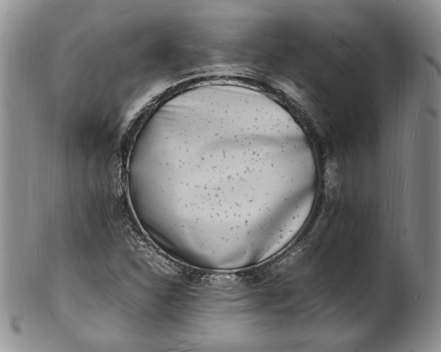 X0000100981310200807081234