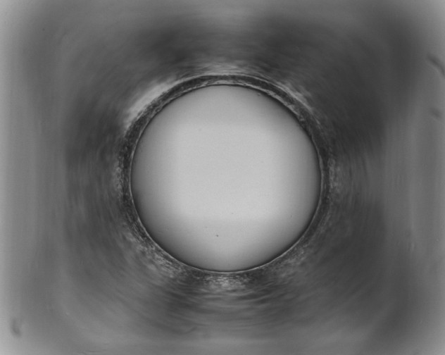 X0000100981311200807081234