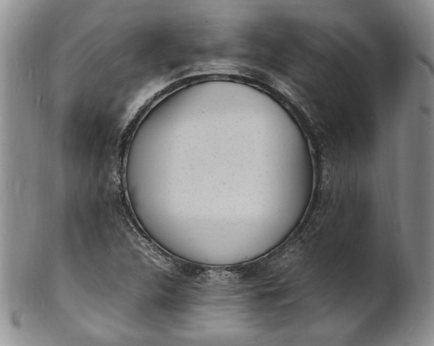 X0000100981312200807081234