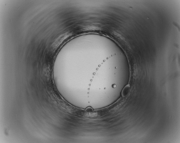 X0000100981313200807081234