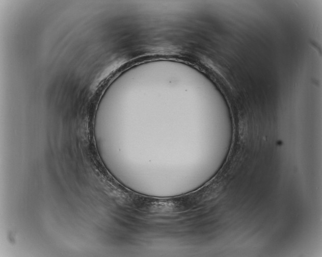 X0000100981315200807081234