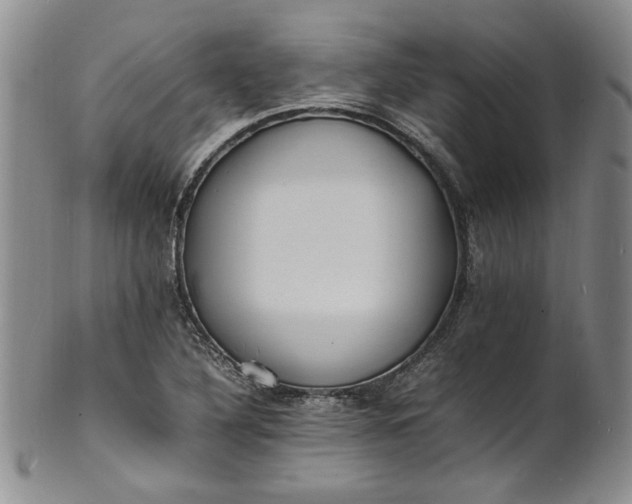 X0000100981316200807081234