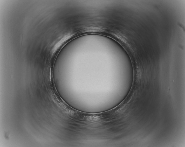 X0000100981317200807081234