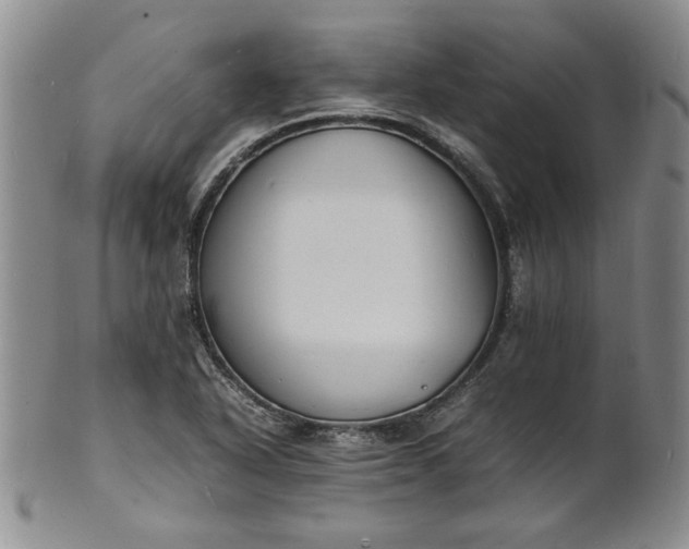 X0000100981318200807081234