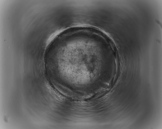 X0000100981319200807081234