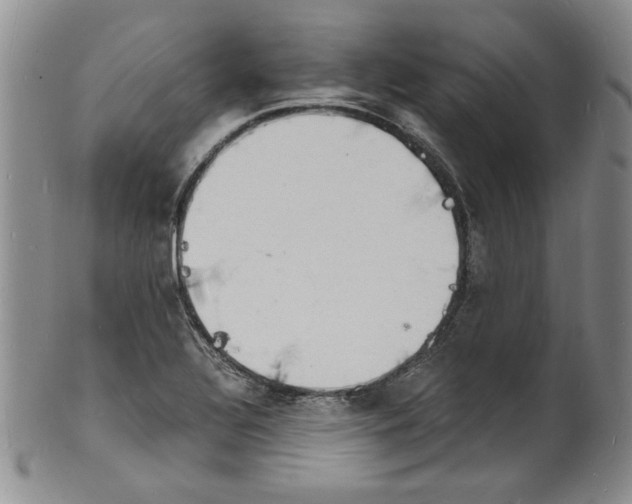 X0000100981320200807081234