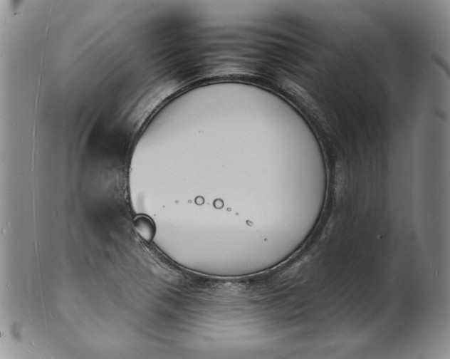 X0000100981321200807081234