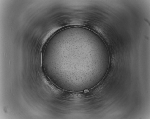 X0000100981323200807081234