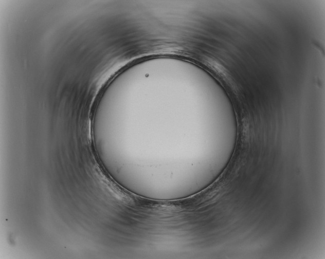 X0000100981324200807081234