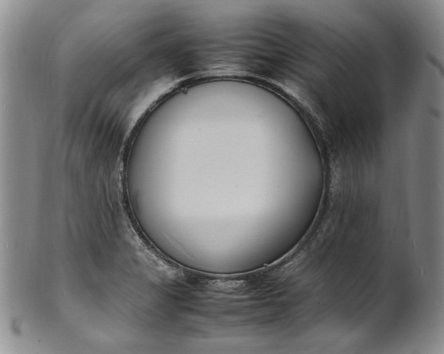 X0000100981325200807081234