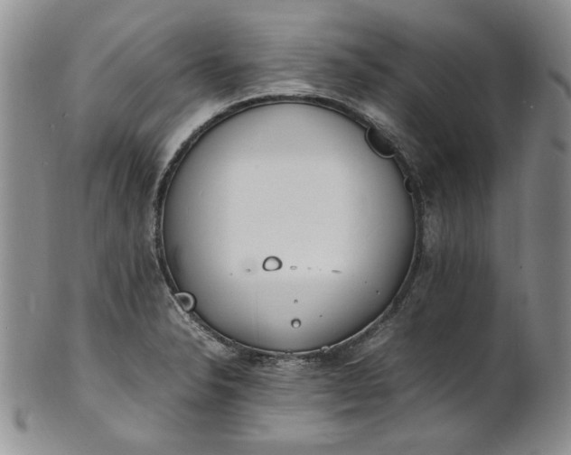 X0000100981326200807081234