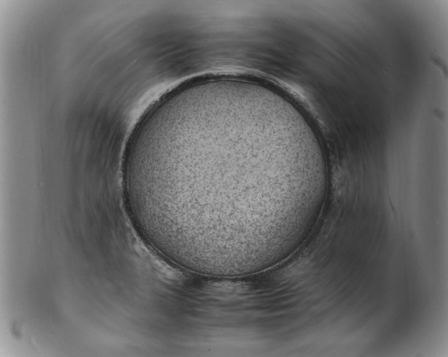 X0000100981327200807081234