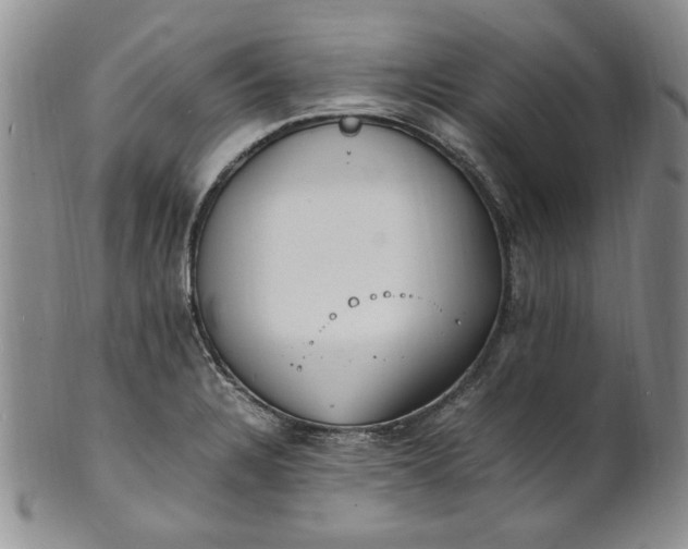 X0000100981328200807081234