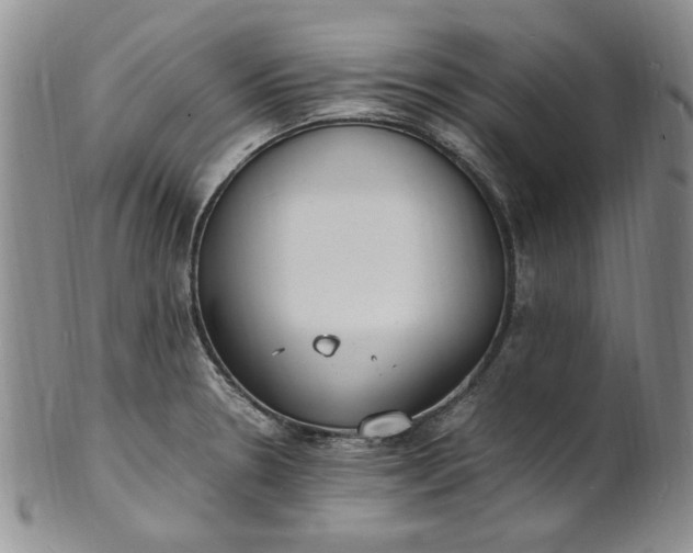 X0000100981330200807081234