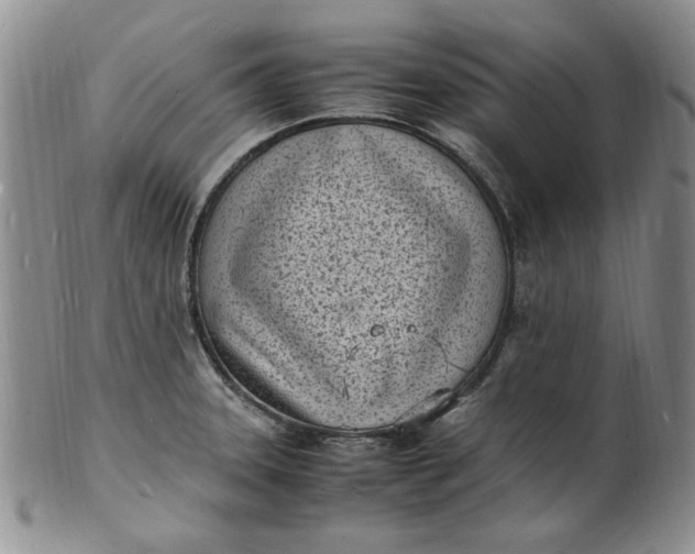 X0000100981331200807081234