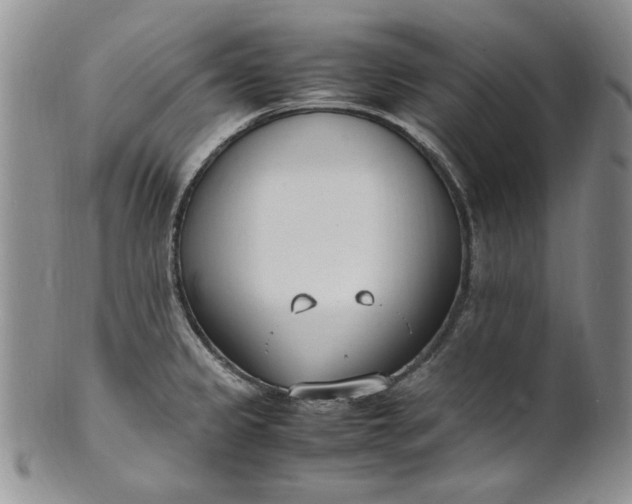 X0000100981333200807081234