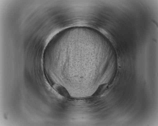 X0000100981334200807081234