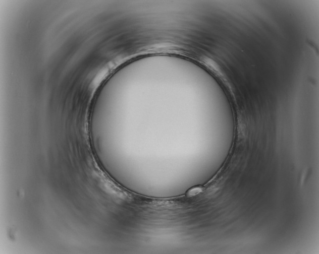 X0000100981336200807081234