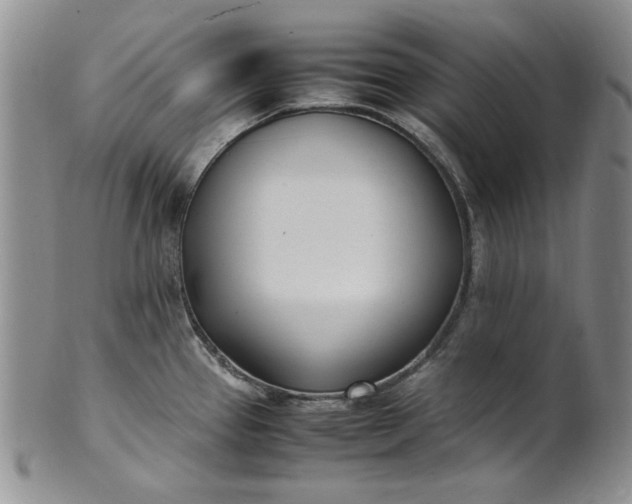 X0000100981337200807081234