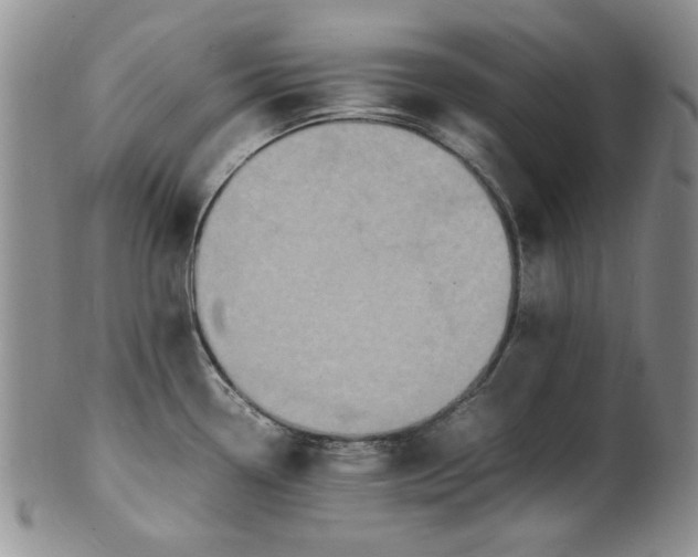 X0000100981338200807081234